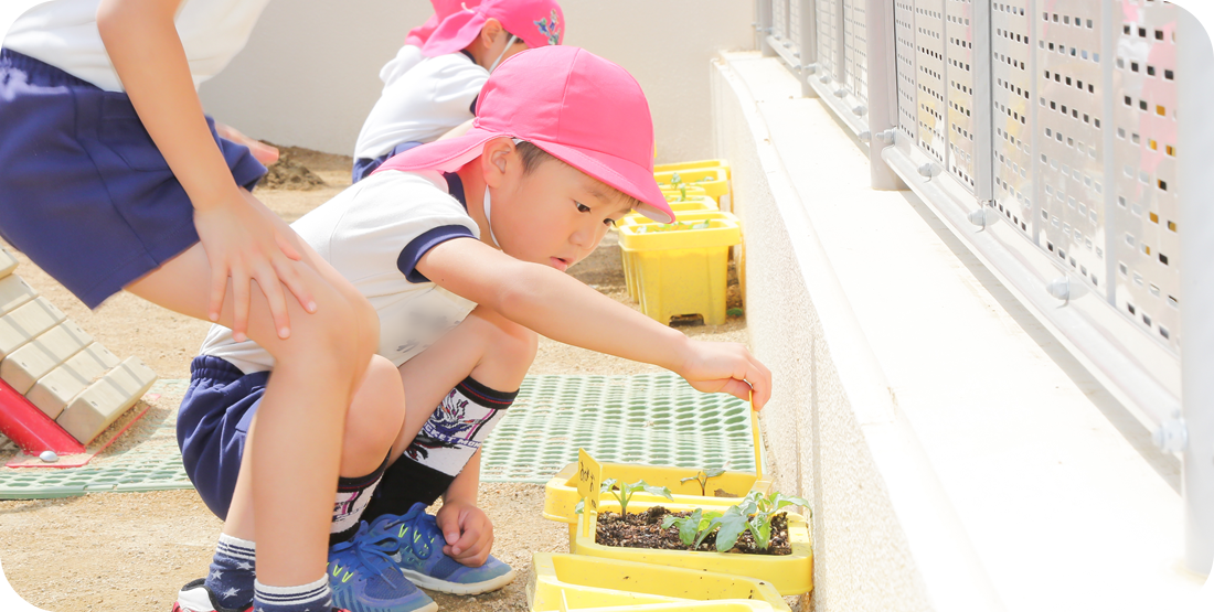 園児・園内写真